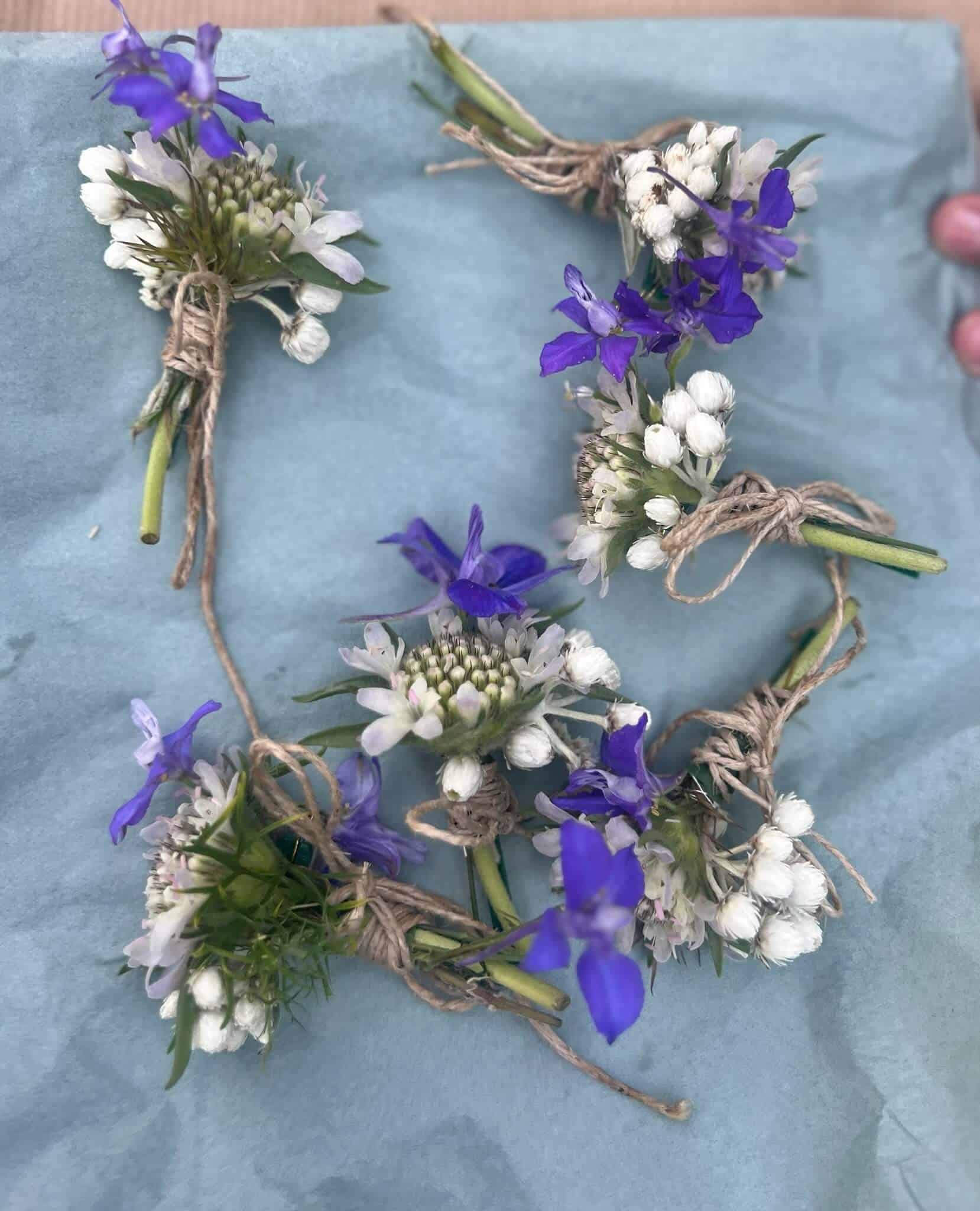 Knaphulsblomst Getting Married in Denmark