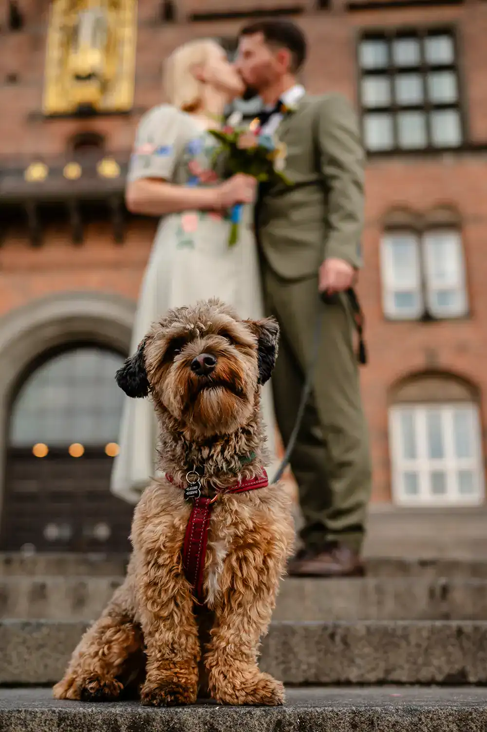 AnnMarieMichael 112 1 Getting Married in Denmark